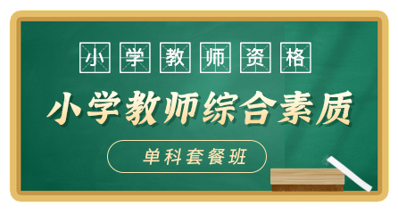 小学教师资格-教师综合素质-无忧通关班（单科）