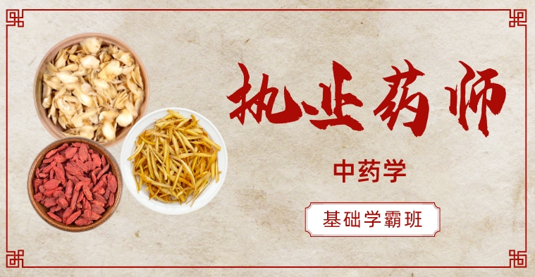 执业药师-中药-基础学霸套餐（全科）
